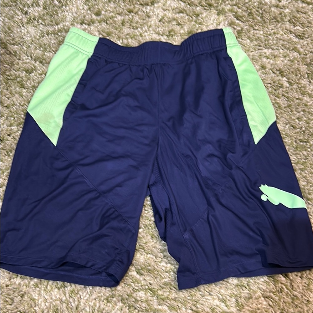 Puma Navy and Green Athletic Shorts